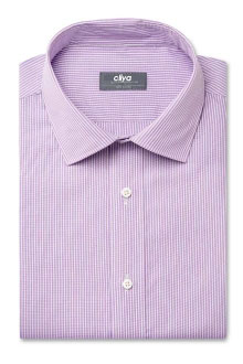 淡紫色細(xì)格紋商務(wù)正裝