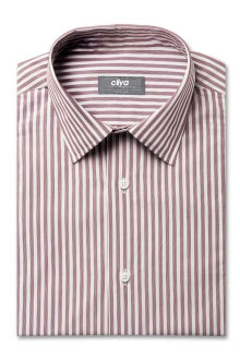 粉色粗條紋商務正裝